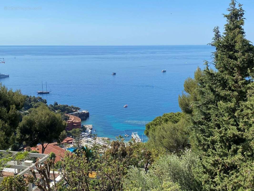 Roquebrune Cap Martin frontière Monaco  - photo 2