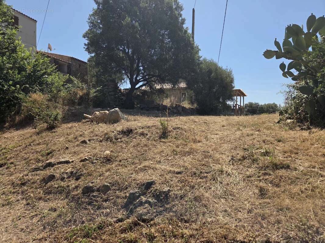 Terrain à MONACIA-D&#039;AULLENE