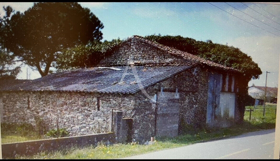 Commerce à LA MARNE