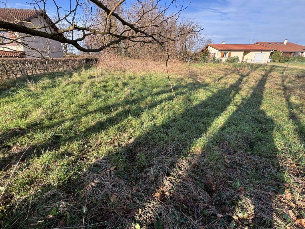 Terrain à REYSSOUZE