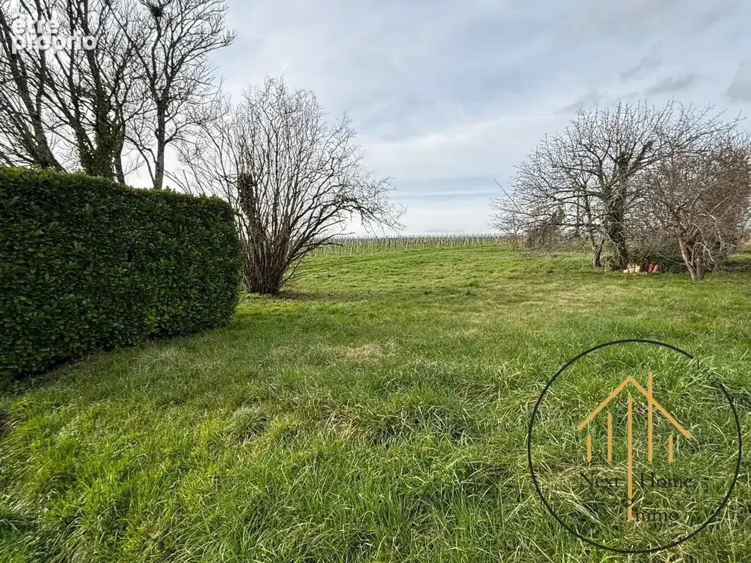 Terrain 1 000 m² à vendre à Lignieres-Sonneville (16130) - photo 3