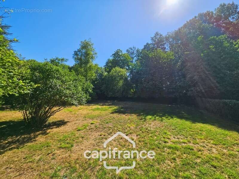 Maison 249 m², à vendre 8 pièces MIGNE AUXANCES (86), environnement et secteur de qualité - photo 3