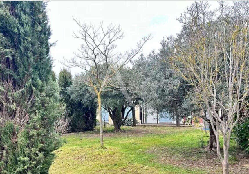 Maison à TREBES