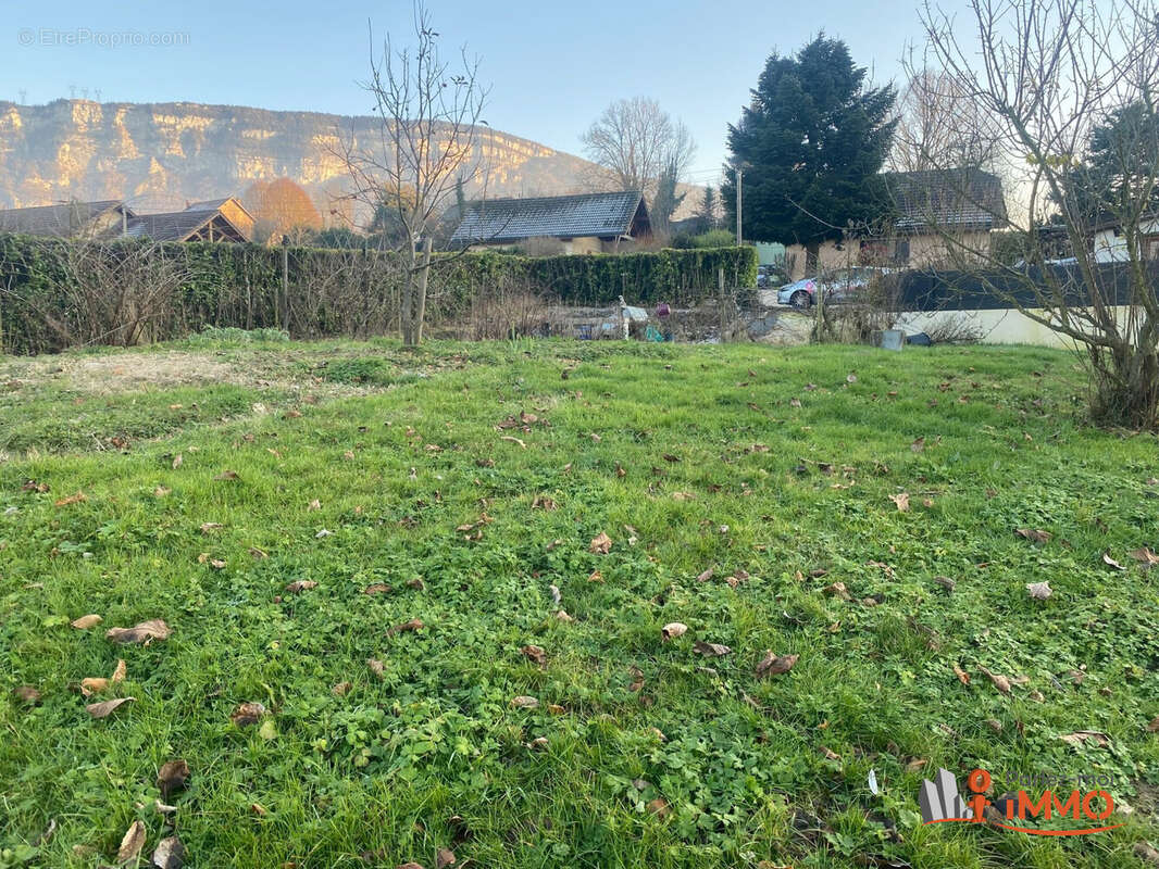 Terrain à LEPIN-LE-LAC