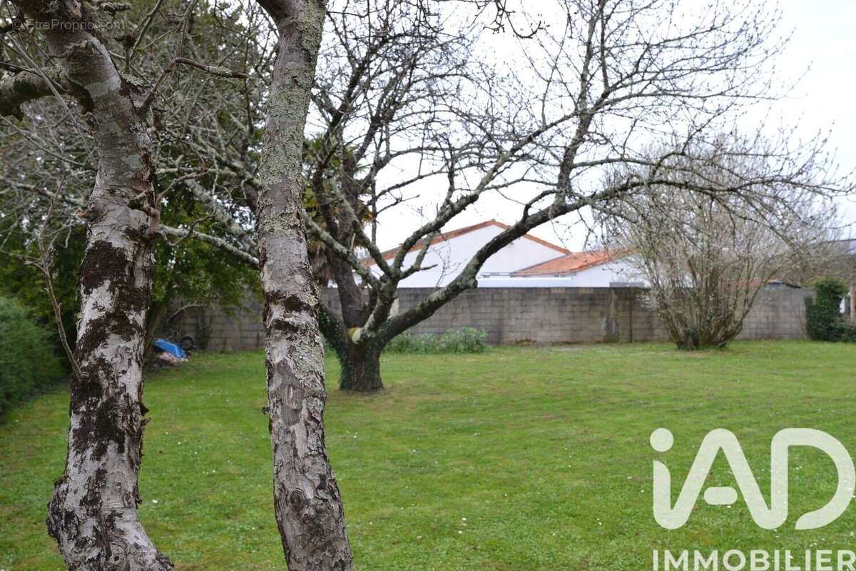 Photo 4 - Maison à MESNAC