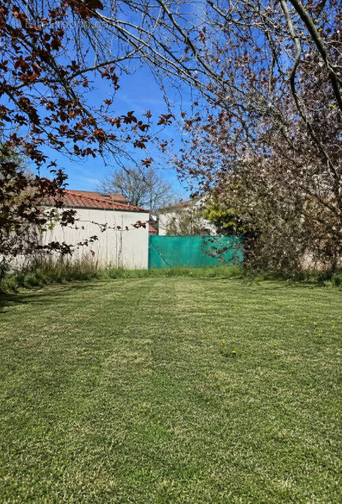Terrain à COLOMIERS