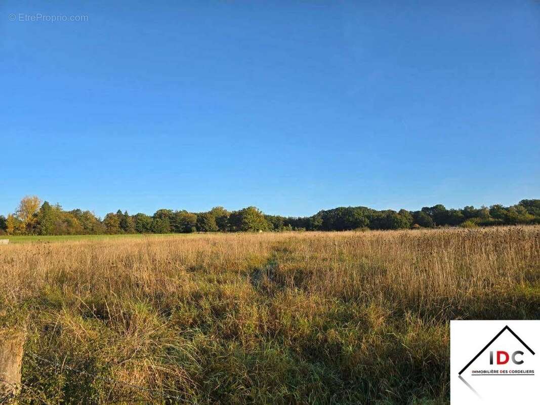 Terrain à SARREBOURG