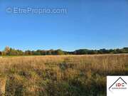 Terrain à SARREBOURG