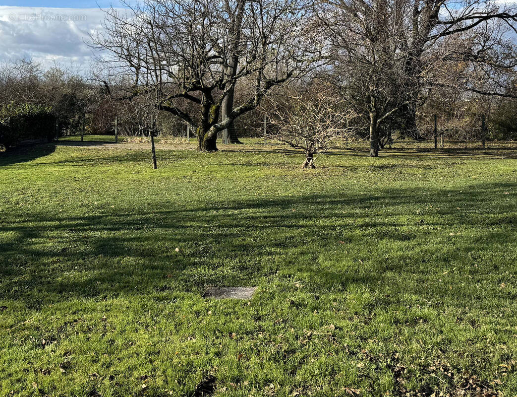 Terrain à MIONS
