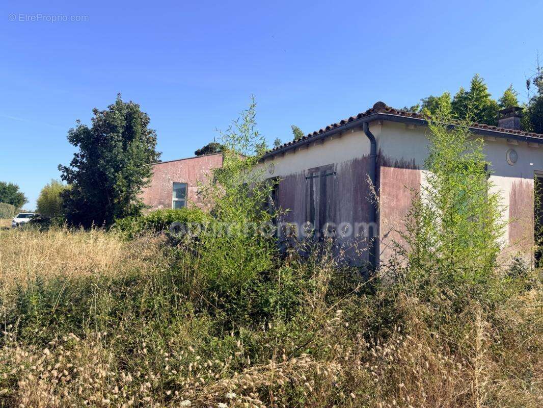 Exclusivité – ensemble immobilier sur parcelle agricole : maison de plain-pied & hangar - photo 4
