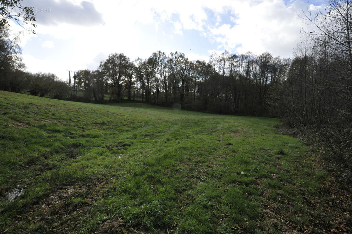 Terrain à VICQ-SUR-BREUILH