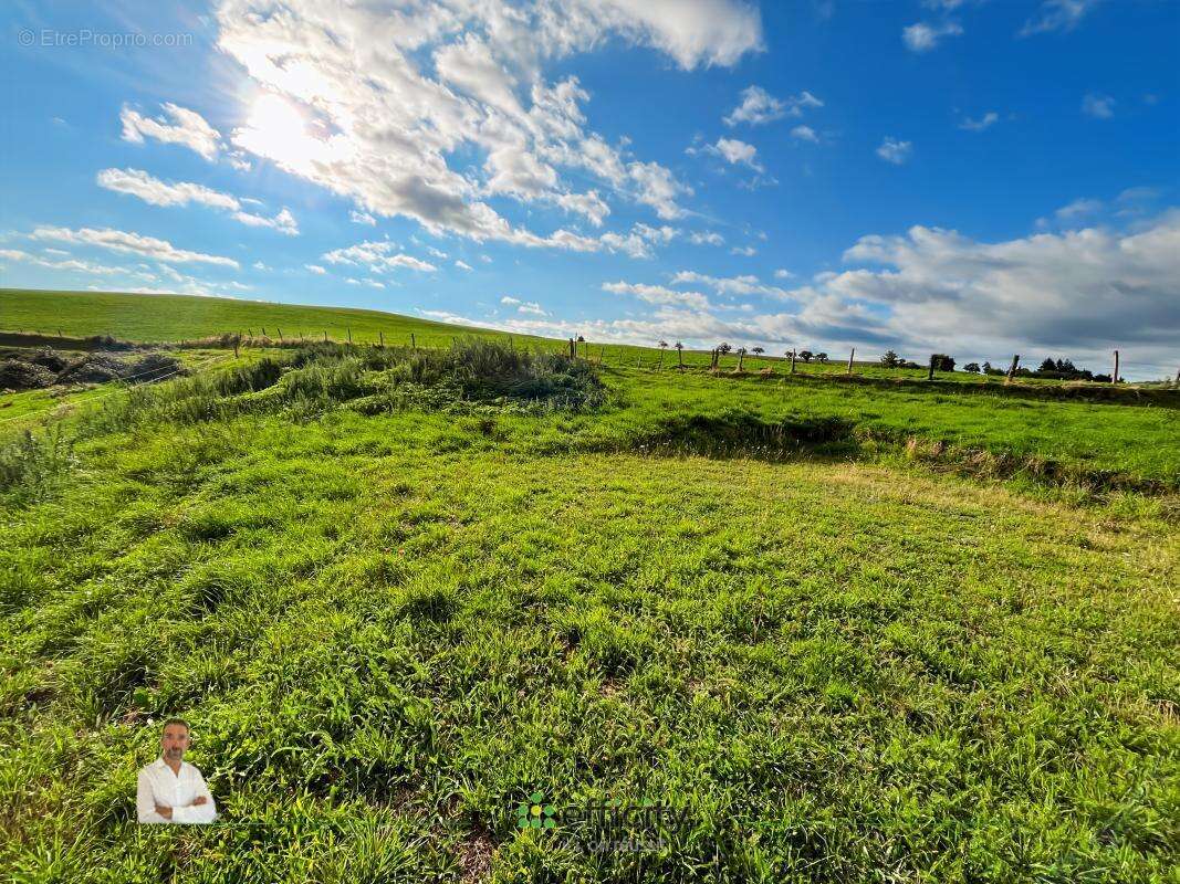 Terrain à SAINT-REMY-DE-CHARGNAT