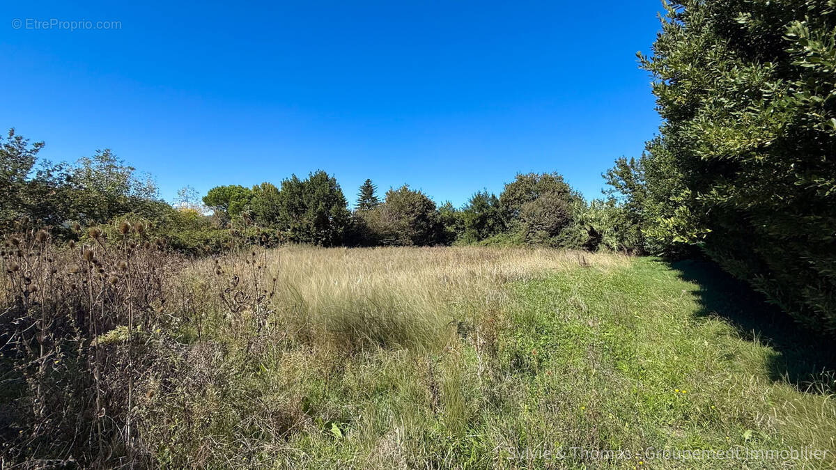 Terrain à CADEROUSSE