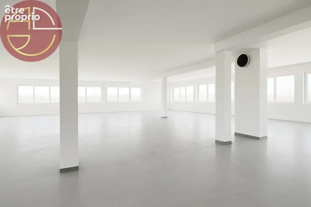 Commerce 7 525 m² à vendre à Blagnac (31700) - photo 3