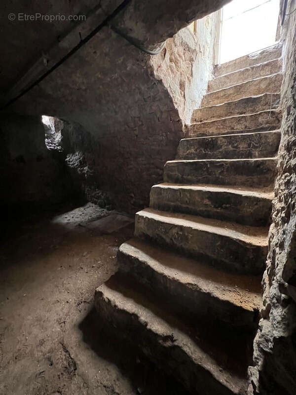 Commerce à FONTAINEBLEAU