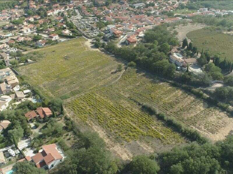Terrain à BANYULS-DELS-ASPRES