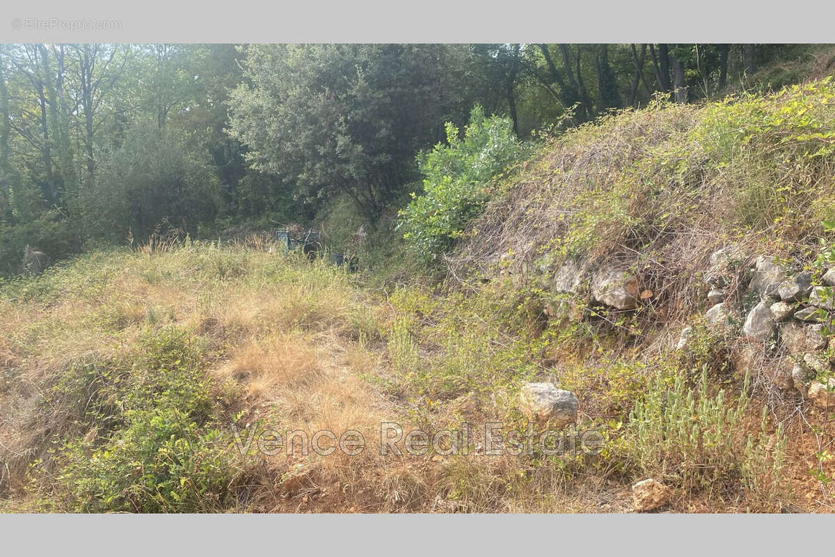 Terrain 5092 m² à Tourrettes-Sur-Loup  - photo 4