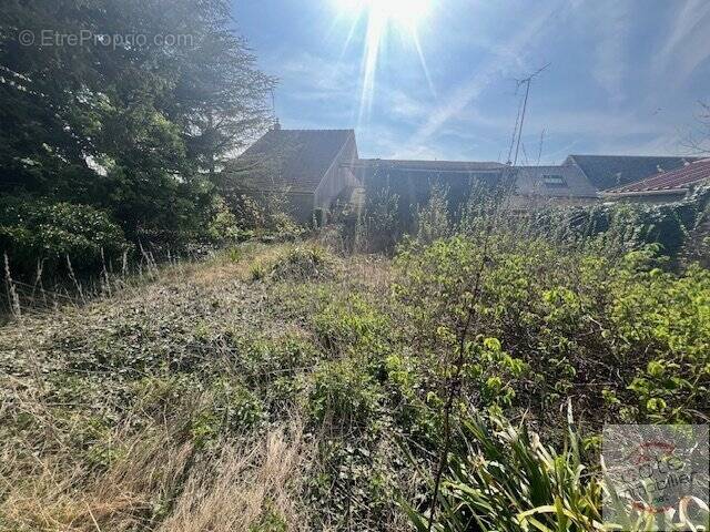 Terrain à OYSONVILLE