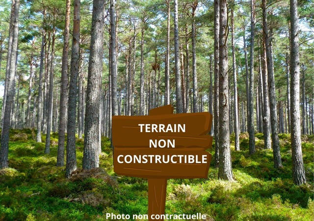 Terrain à SAINT-MARIENS