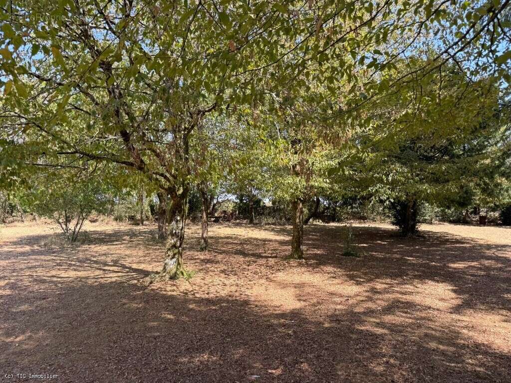 Exclusif : Grande Maison de Famille Dans le Village Médiéval de Verteuil-Sur-Charente - photo 32