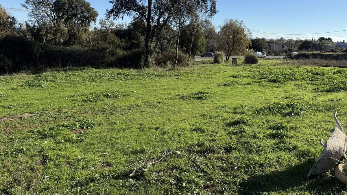 Terrain à POGGIO-MEZZANA