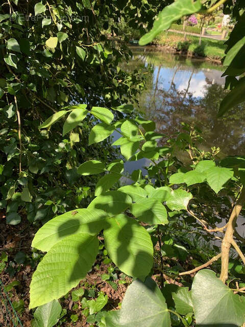 Terrain à AMBRIERES-LES-VALLEES