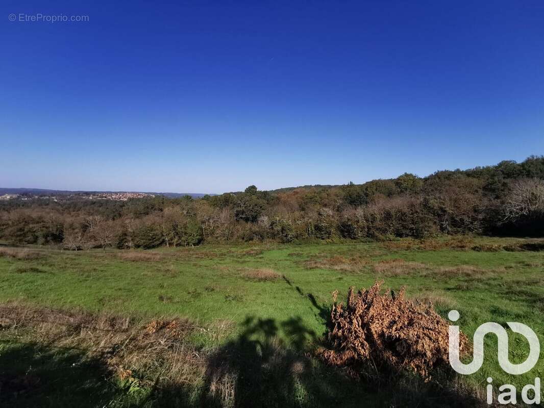 Photo 4 - Terrain à DOMME