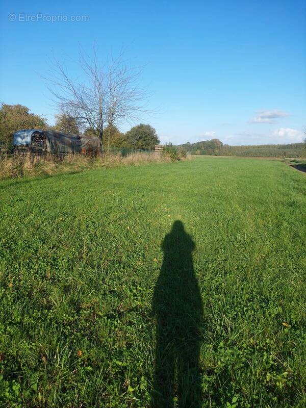 Terrain à BEAUMONT-EN-BEINE