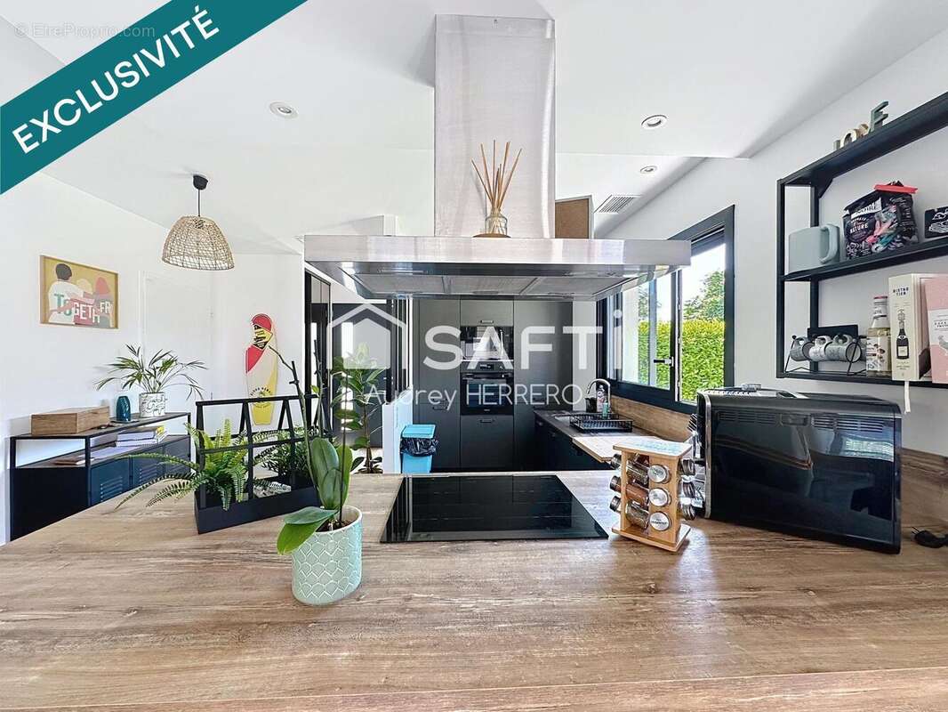 Photo 5 - Maison à PECHBONNIEU