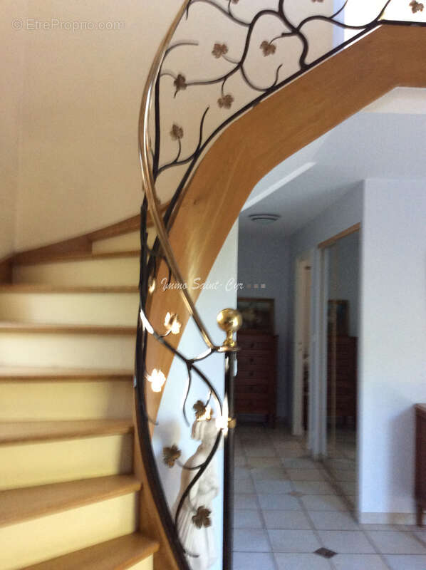 Maison à SAINT-DIDIER-AU-MONT-D'OR