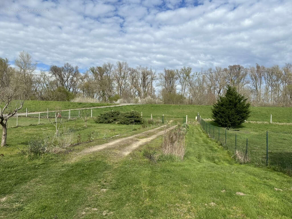 Terrain à COURS-LES-BARRES