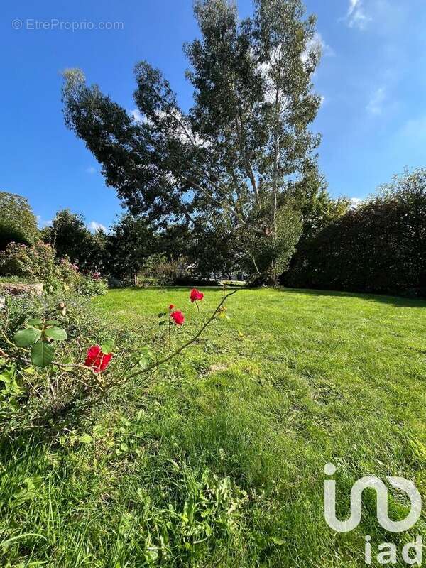 Photo 6 - Maison à IFFENDIC