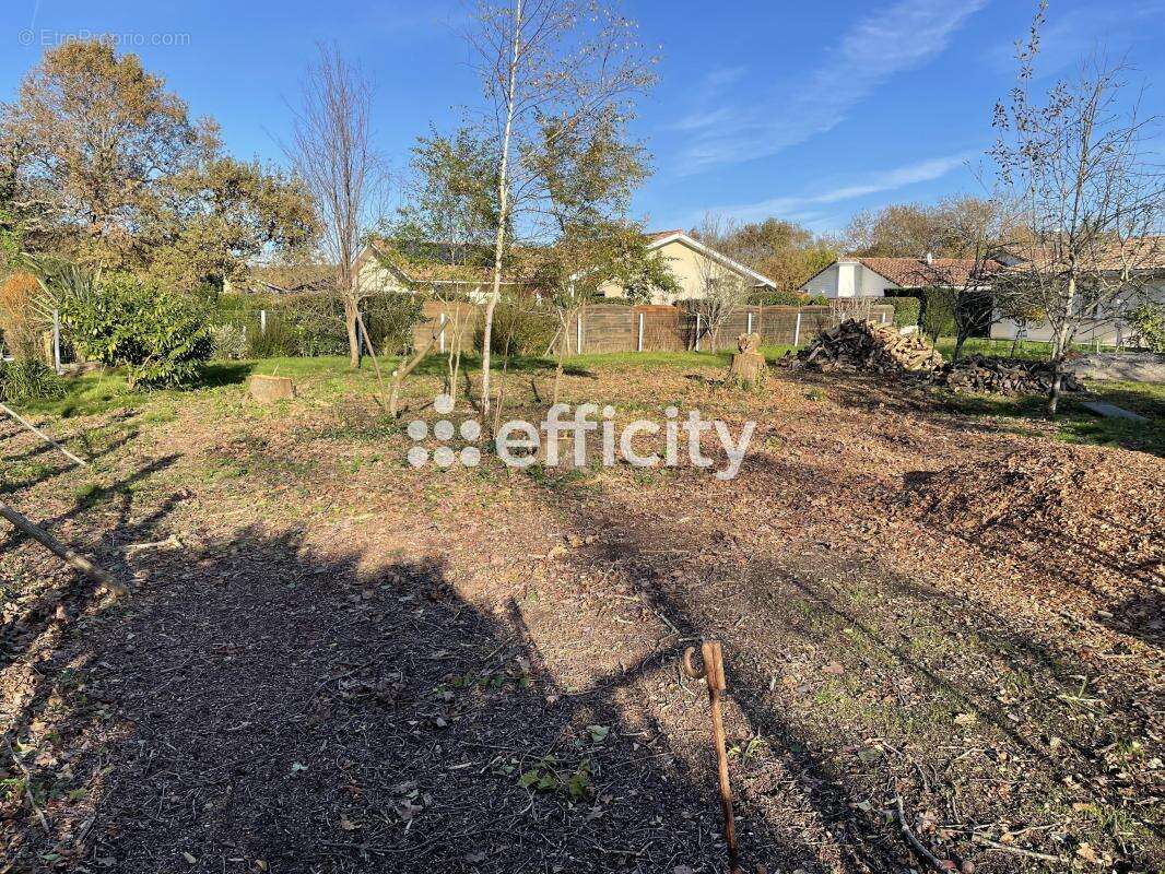 Terrain à AUREILHAN