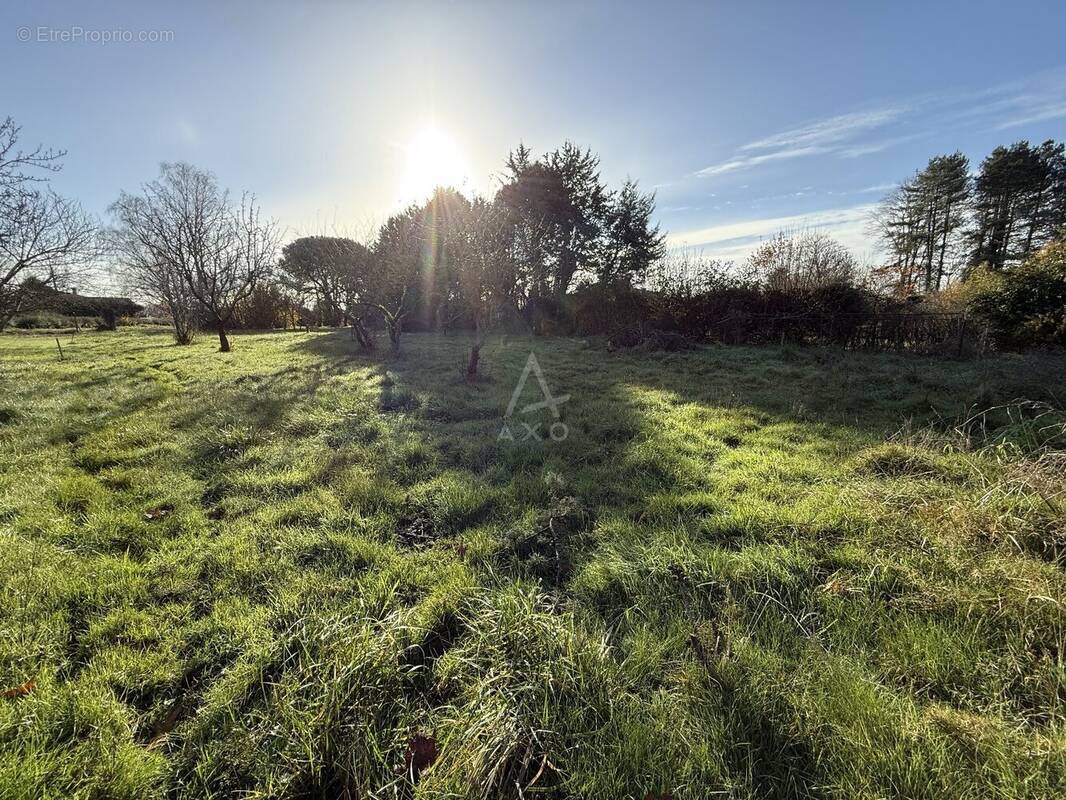Terrain à MIGNALOUX-BEAUVOIR