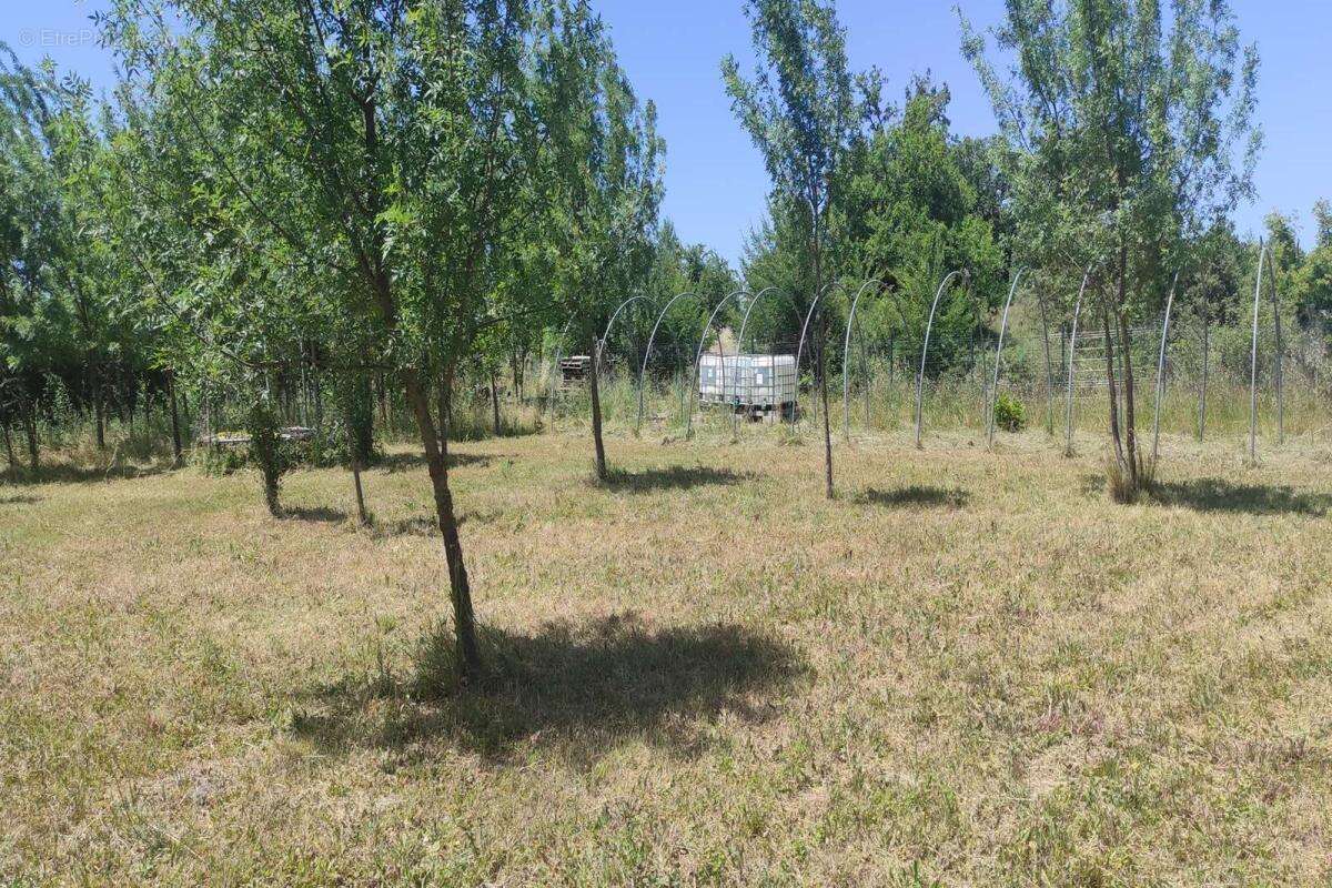 Terrain agricole ou de loisirs de 10 145 m² , entièrement clôturé et sécurisé - photo 9