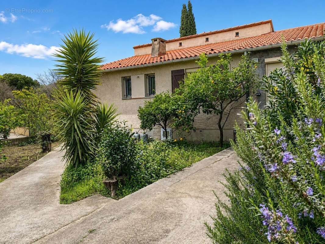 Maison de plein pied à Argeles sur Mer - Maison à ARGELES-SUR-MER