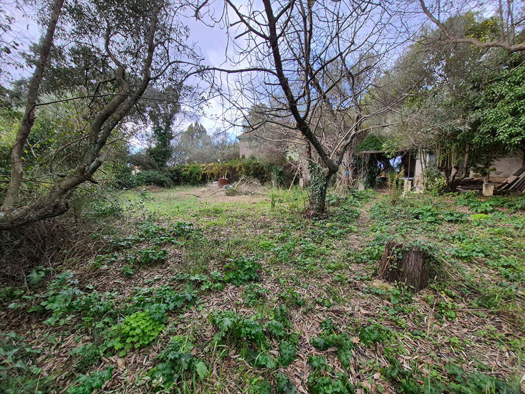 Terrain à SAINT-VINCENT-DE-BARBEYRARGUES