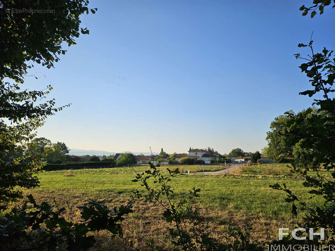 Terrain à BELLERIVE-SUR-ALLIER