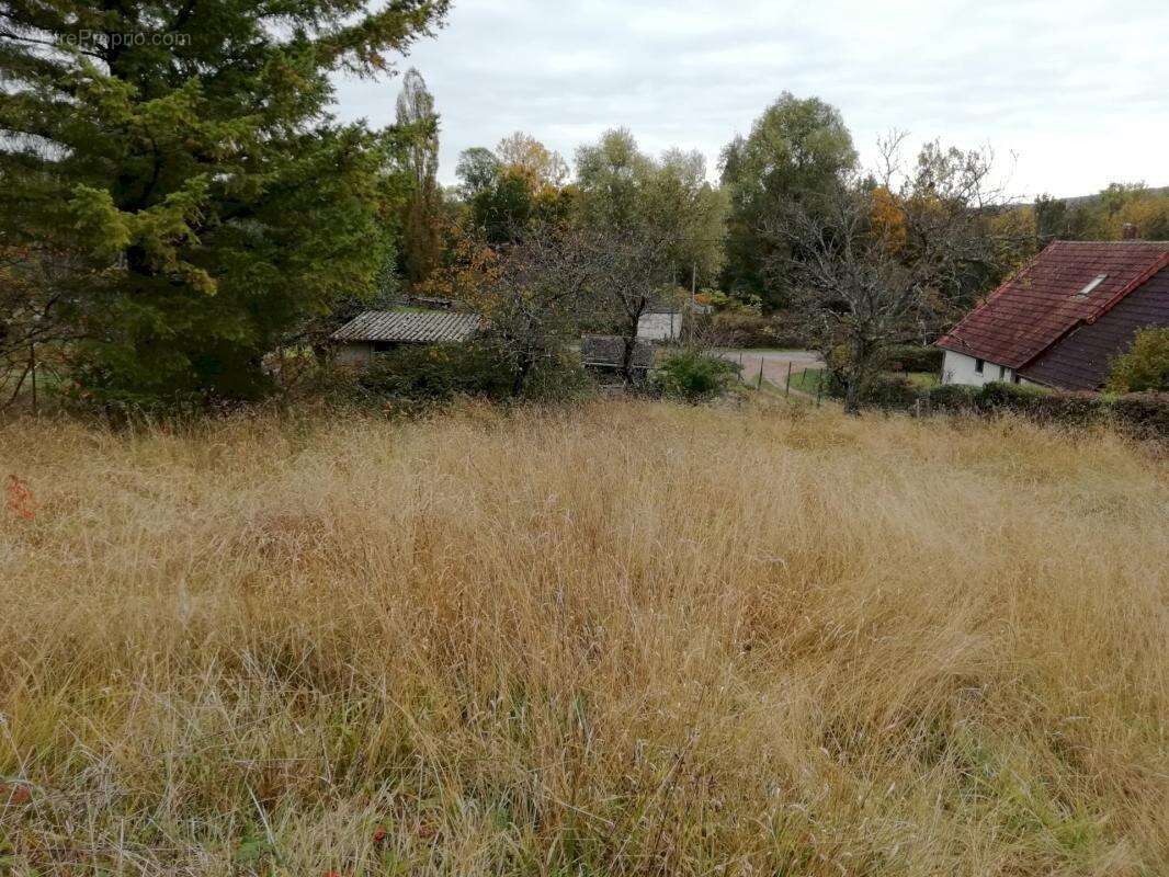 Terrain constructible / premery - photo 5