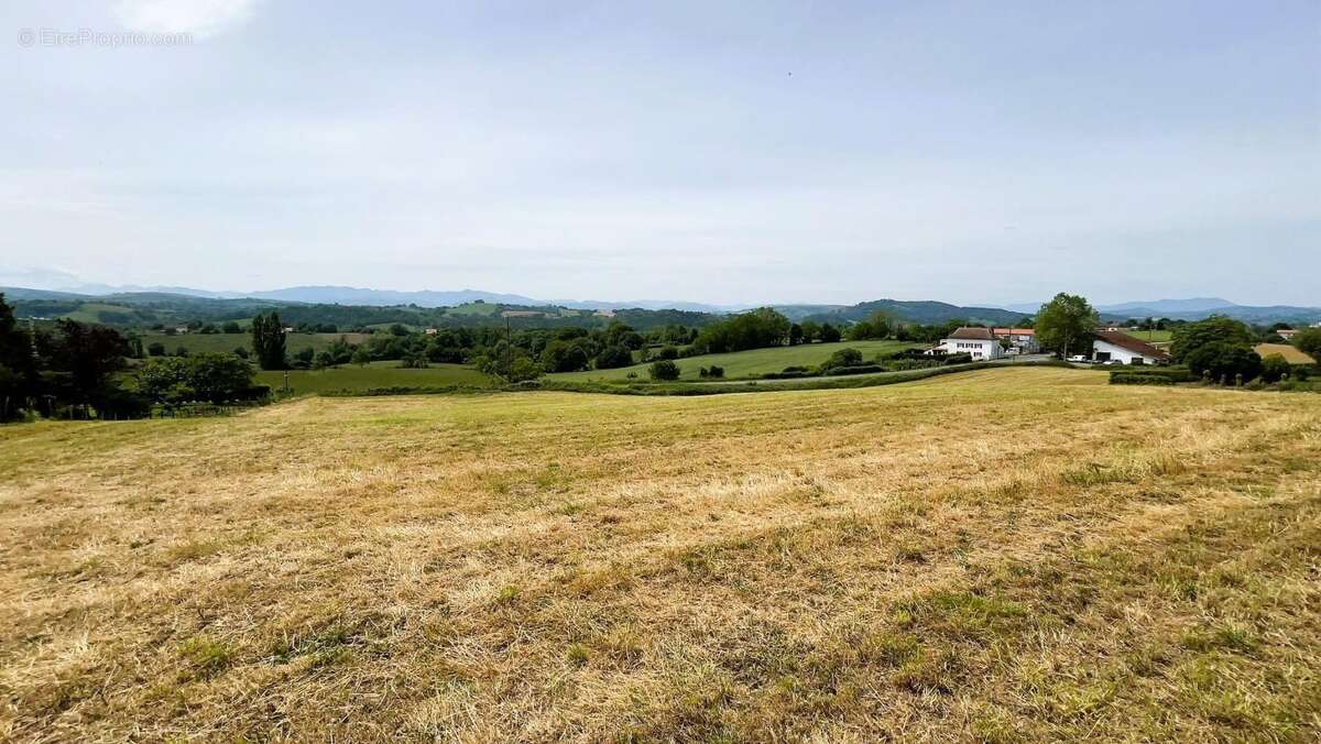 Terrain à SAINT-PALAIS