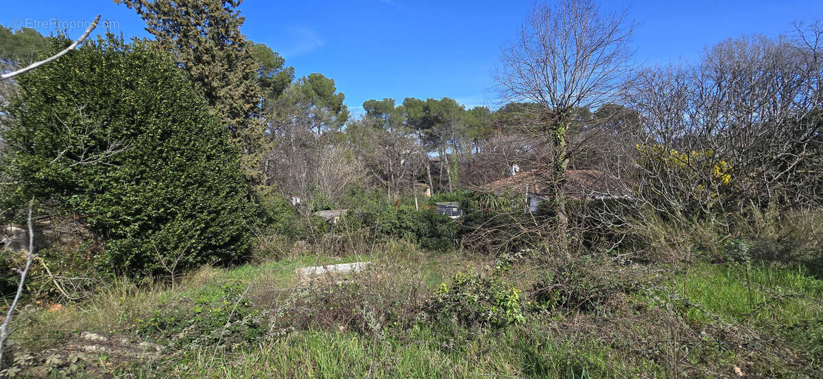 MOUANS-SARTOUX à vendre au calme absolu maison de plain-pied 3 pièces de 79 m2 sur 2.500 m2 de terrain - photo 5
