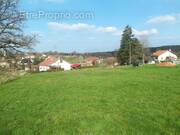 Terrain à SAINTE-BARBE