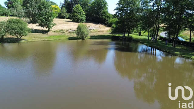 Photo 6 - Terrain à SAINT-DENIS-DE-JOUHET