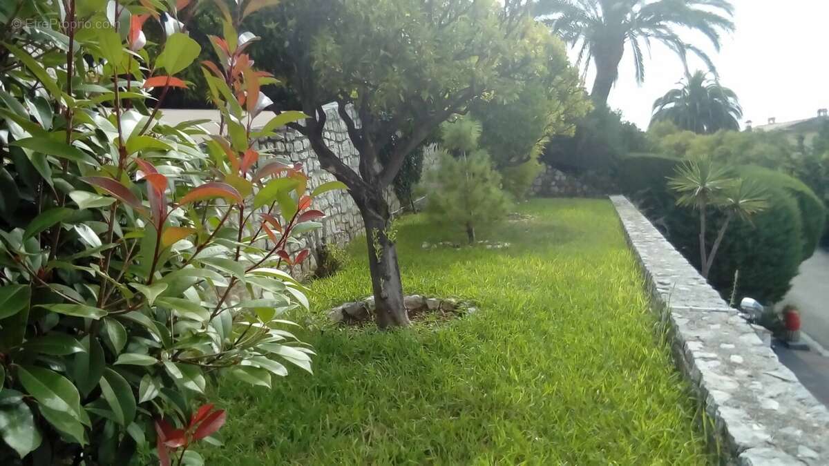 Cour - Maison à VENCE