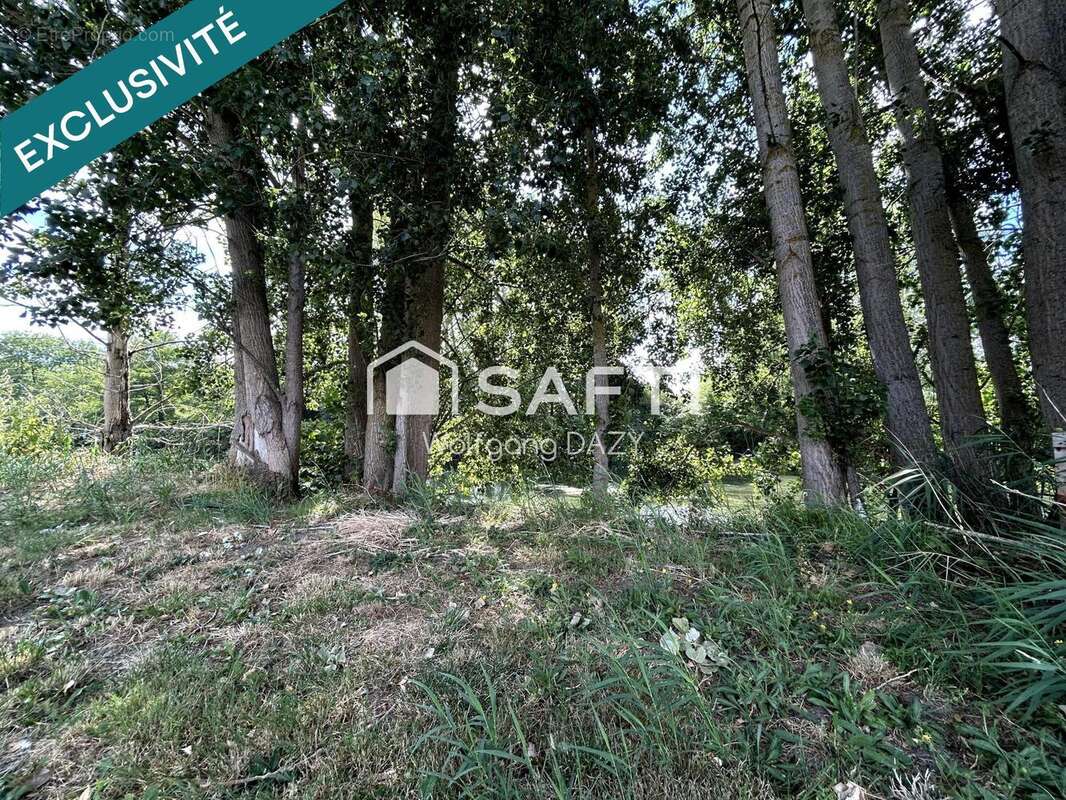 Photo 3 - Terrain à BEAUMONT