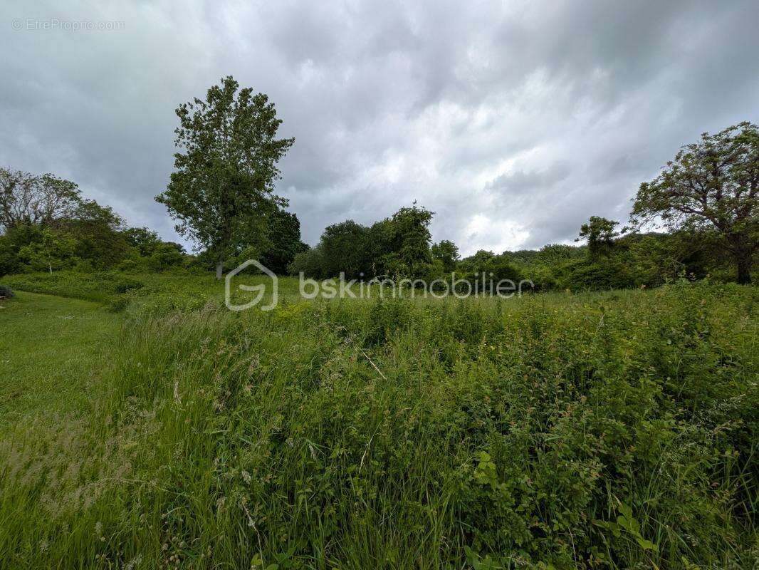 Terrain constructible à Champillon - photo 4