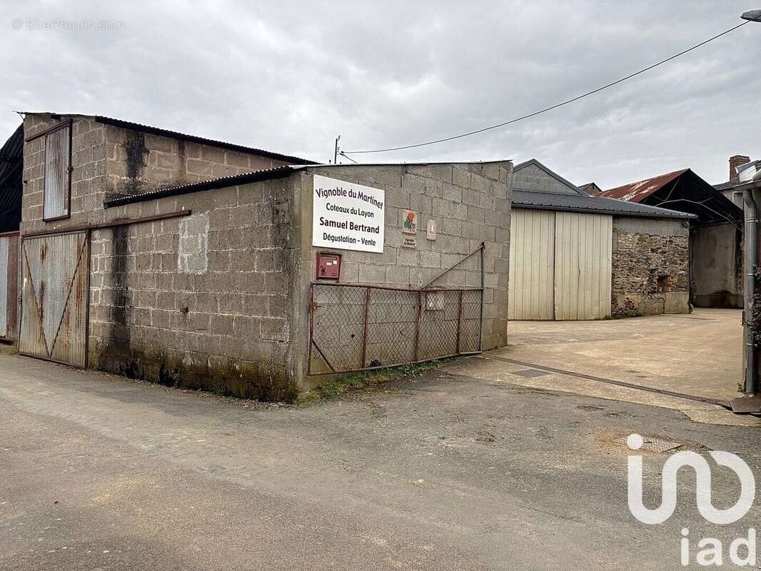 Photo 7 - Maison à BEAULIEU-SUR-LAYON