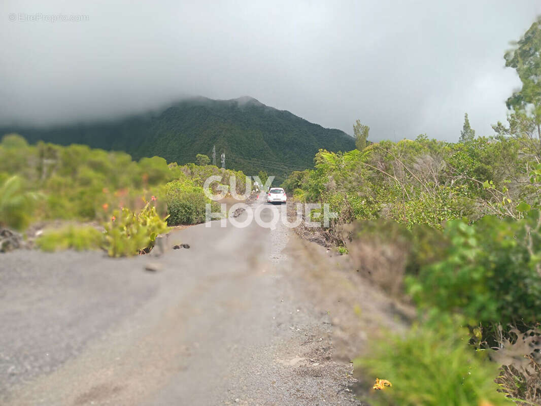 Terrain à LA PLAINE-DES-PALMISTES