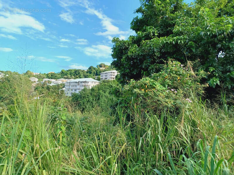 Terrain à LA TRINITE