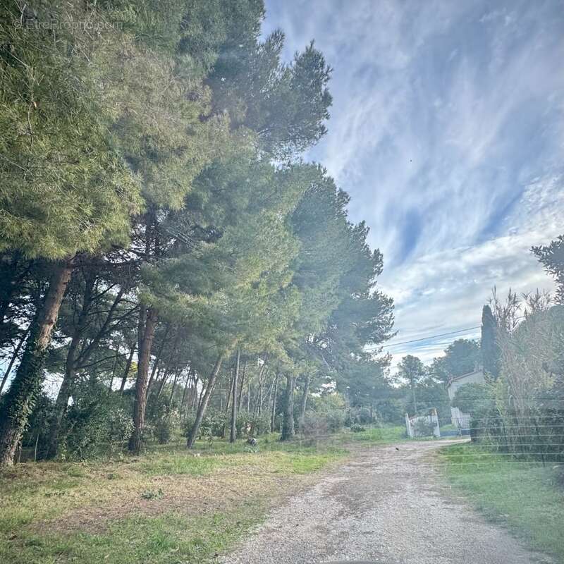 Terrain à SAINT-CHAMAS